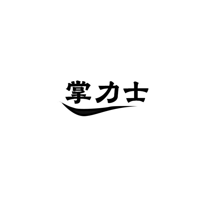 掌力士