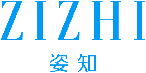 姿知
