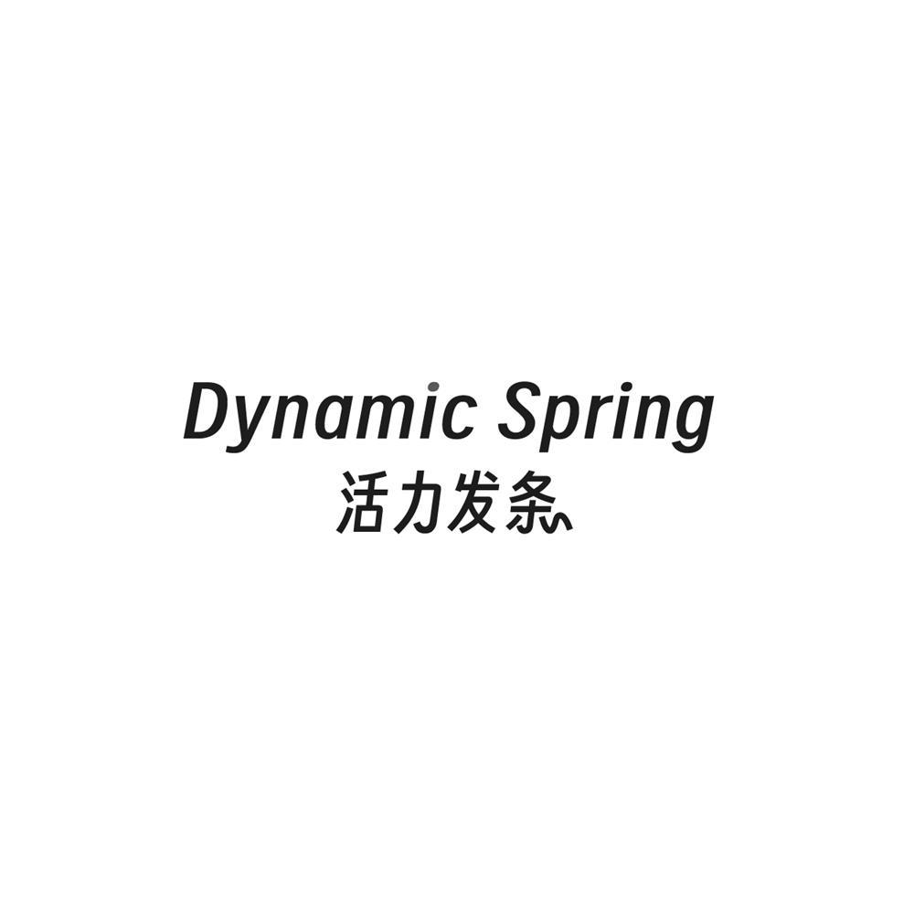 活力发条Dynamic Spring