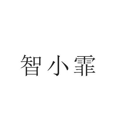 智小霏