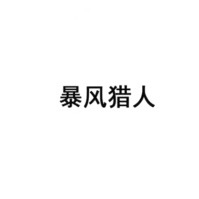 暴风猎人