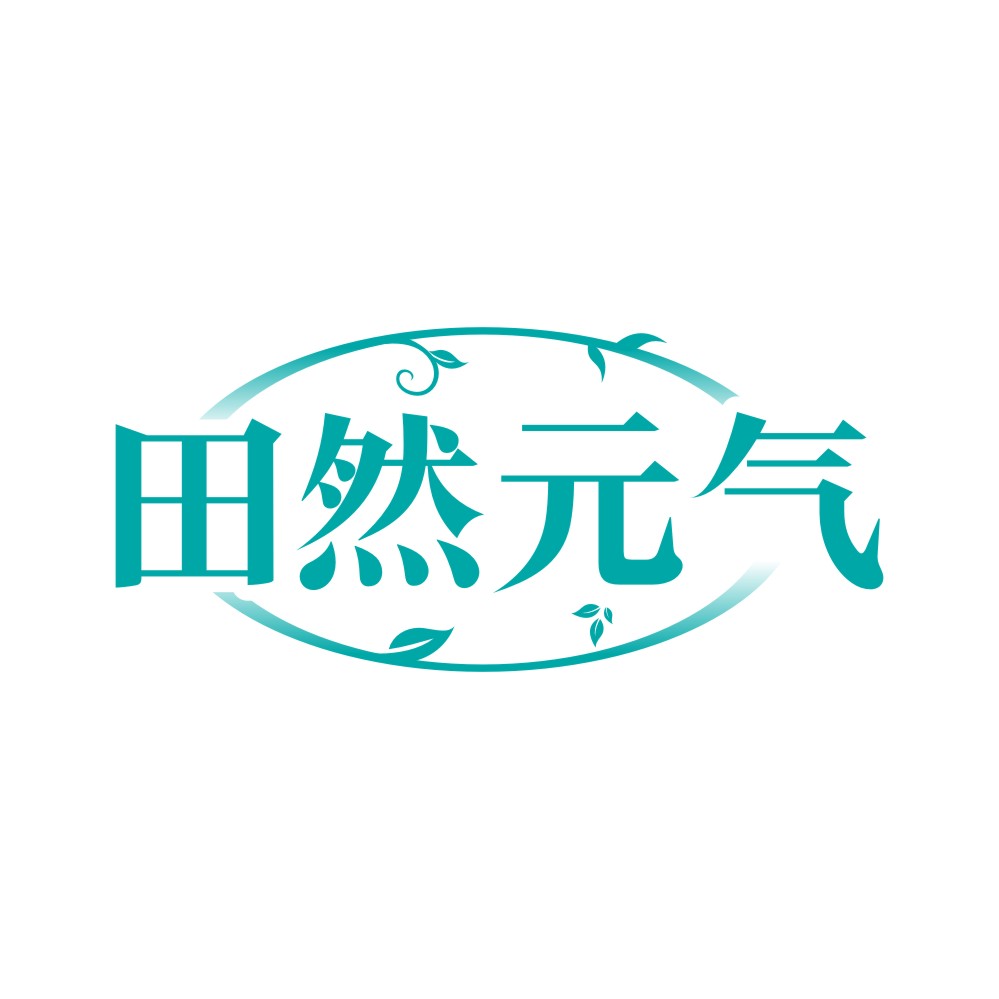 田然元气