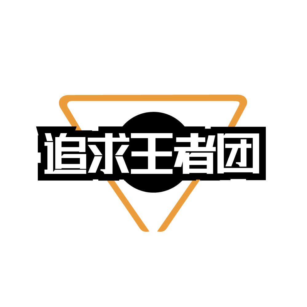 追求王者团
