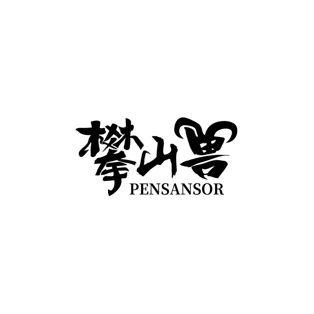 攀山兽PENSANSOR