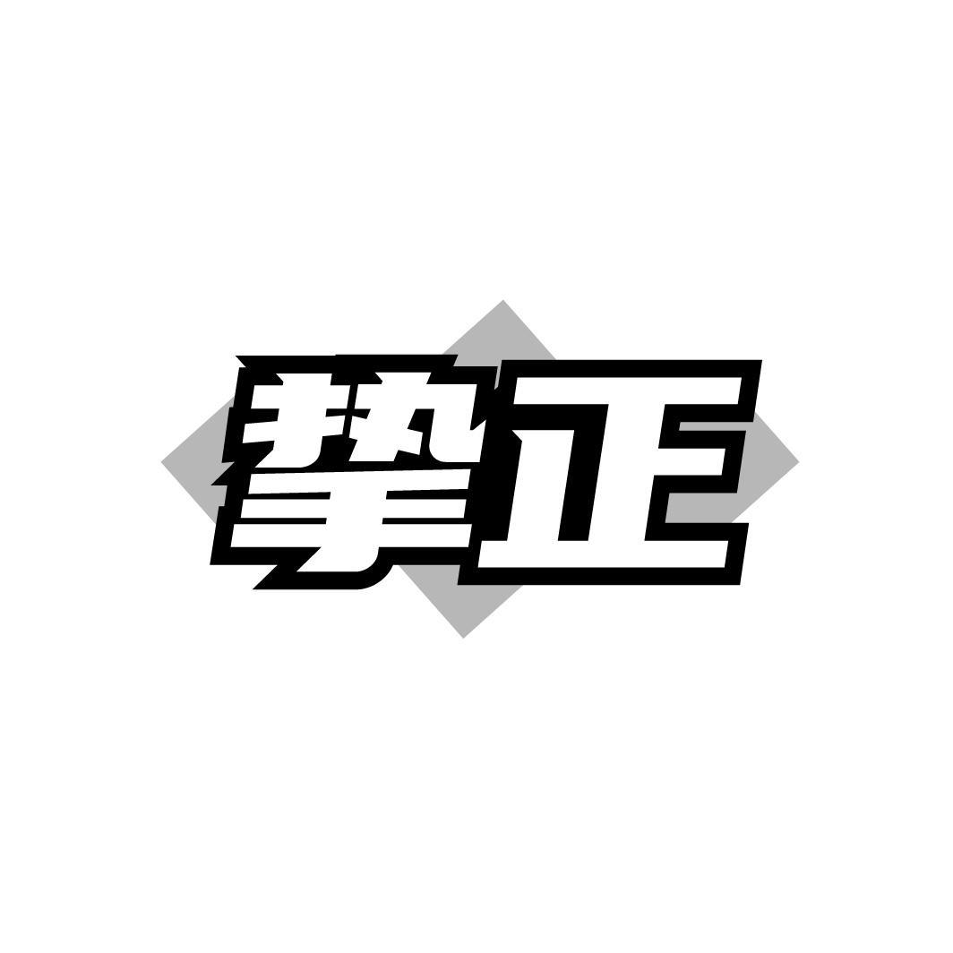 挚正