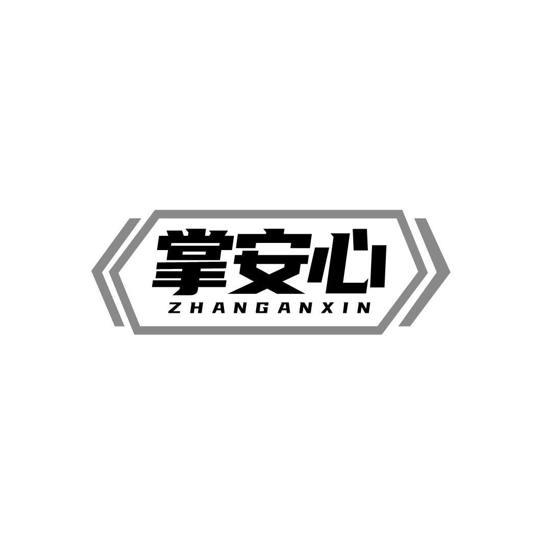 掌安心ZHANGANXIN