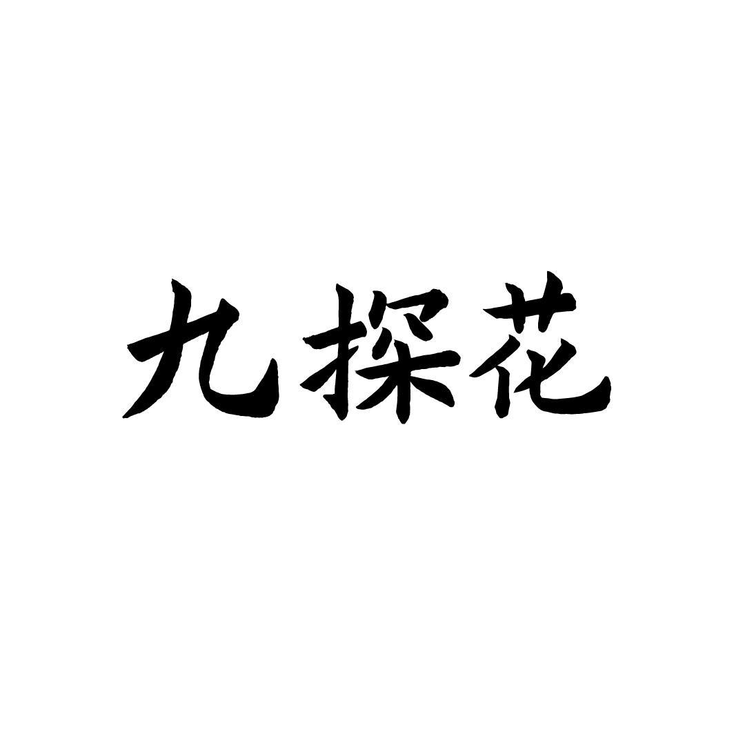 九探花