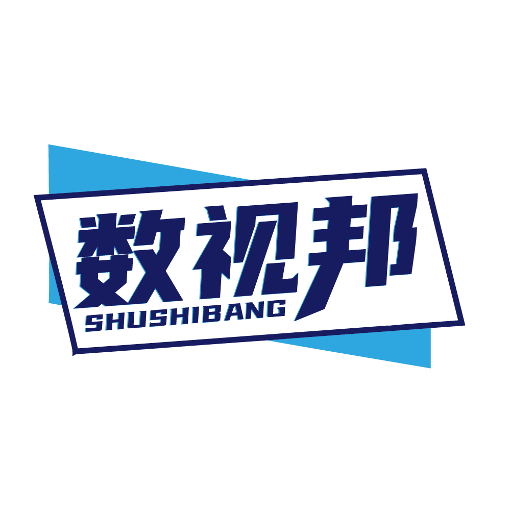 数视邦