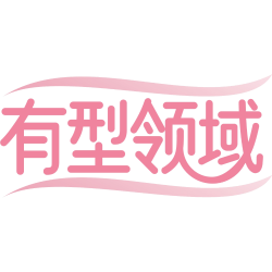 有型领域