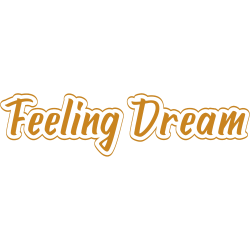 FEELING DREAM