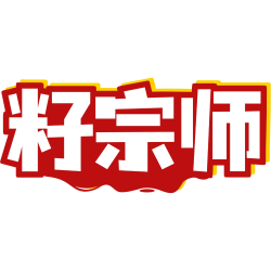 籽宗师
