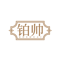 铂帅BOSHUAI