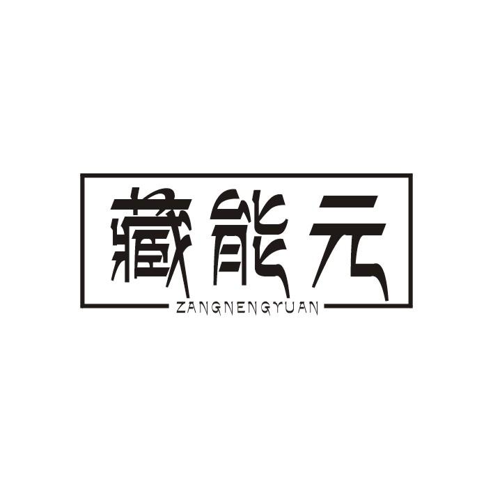 藏能元