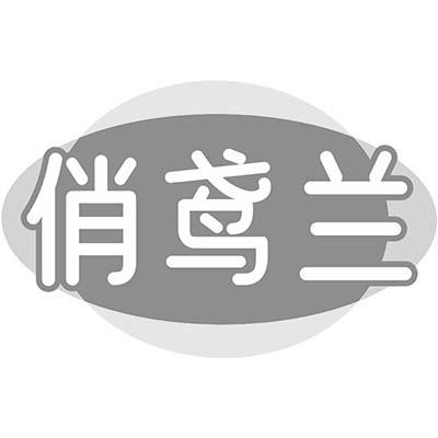 俏鸢兰