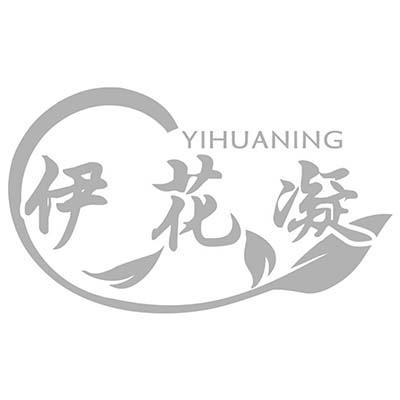 伊花凝