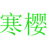寒樱
