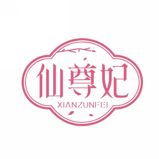 仙尊妃