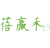 蓓赢禾