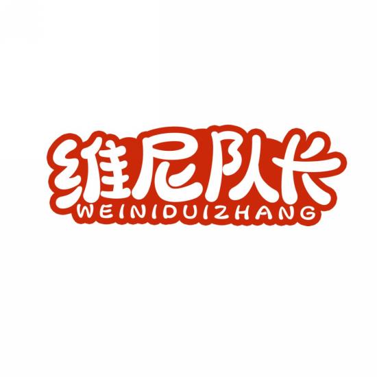 维尼队长