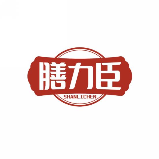 膳力臣