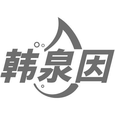 韩泉因