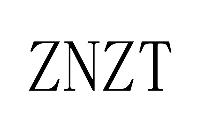 ZNZT