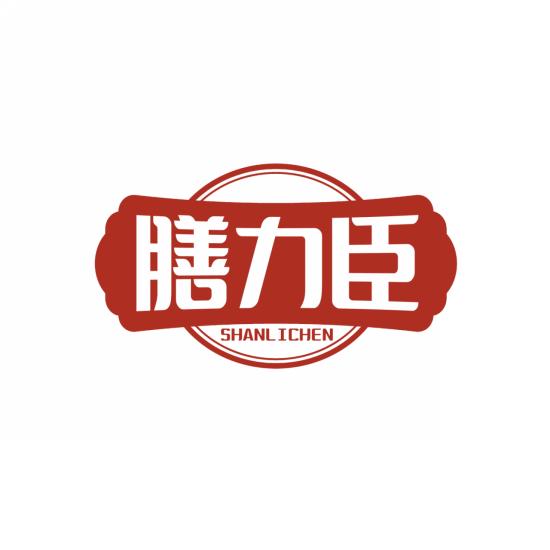 膳力臣