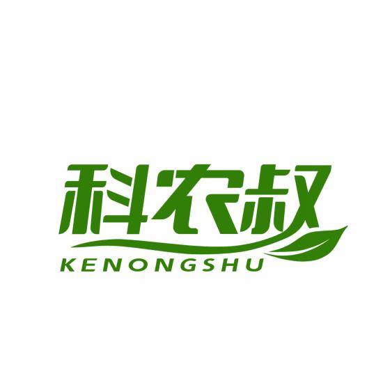 科农叔