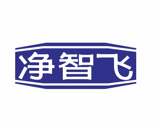 净智飞