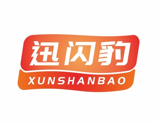 迅闪豹XUNSHANBAO
