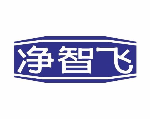 净智飞