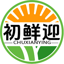 初鲜迎