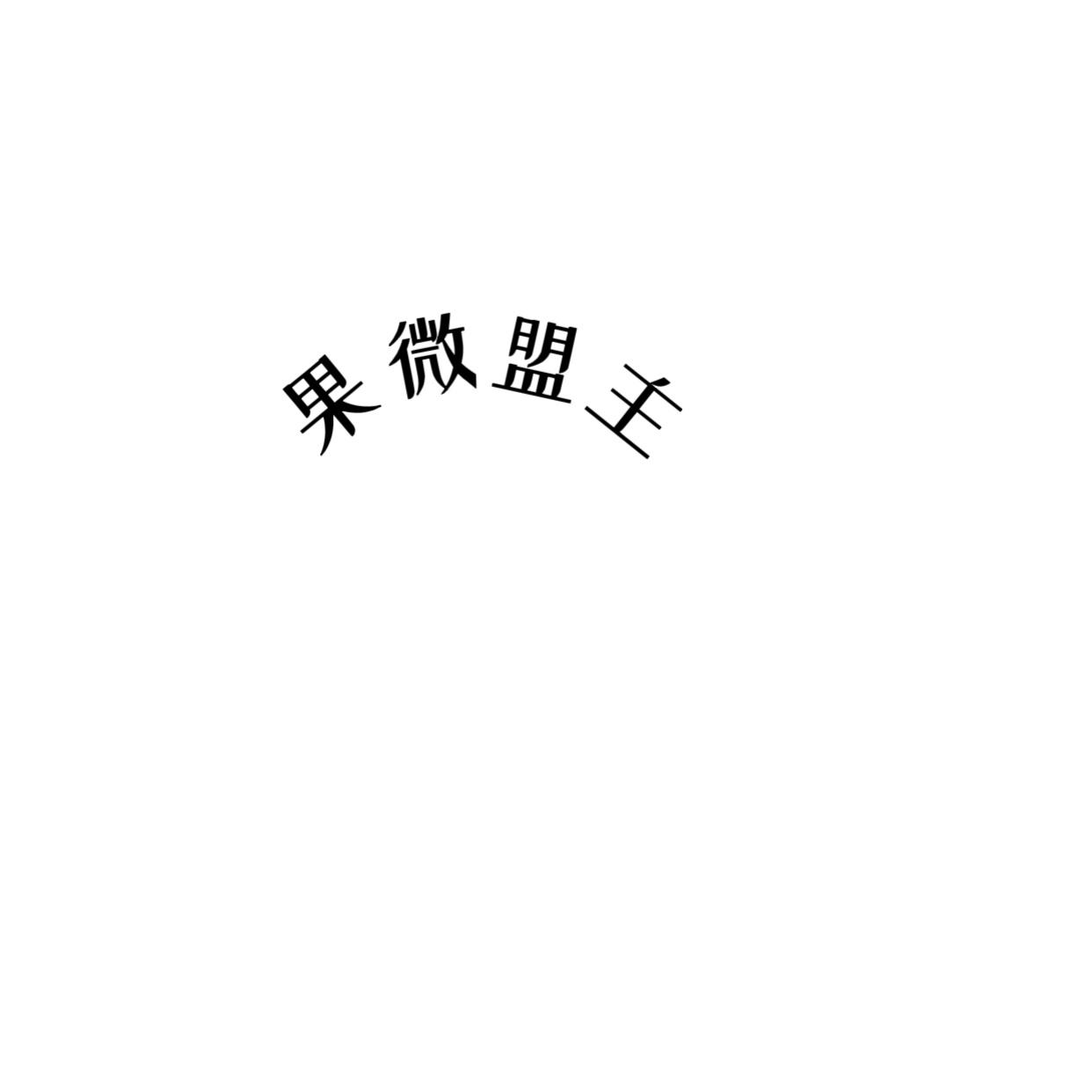果微盟主