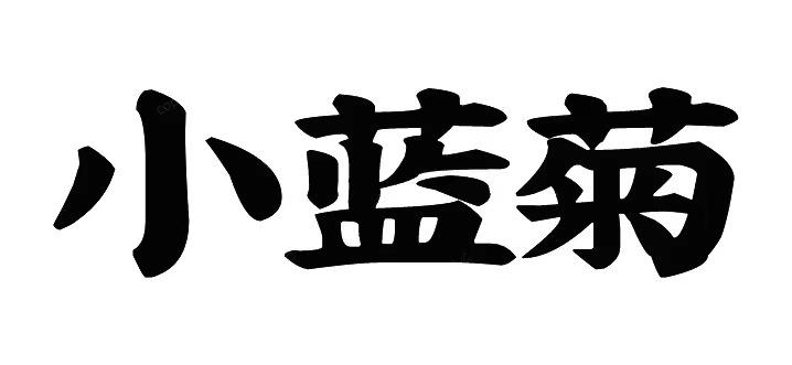 小蓝菊