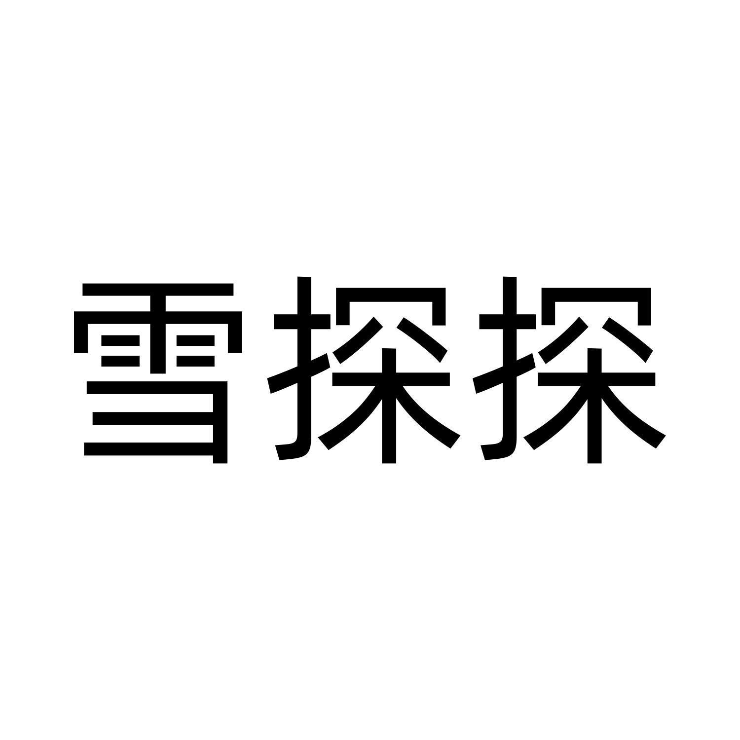 雪探探