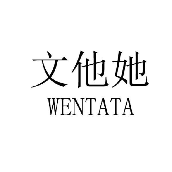 文他她
