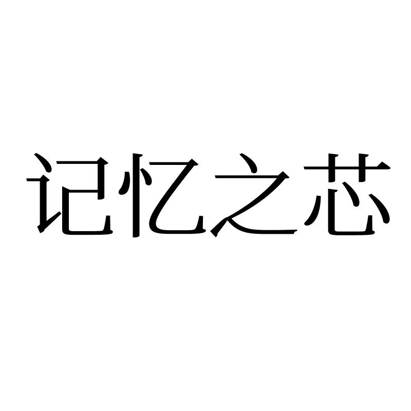 记忆之芯
