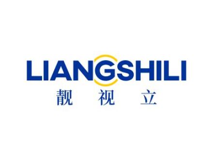 靓视立