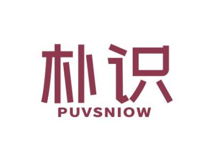 朴识 PUVSNIOW