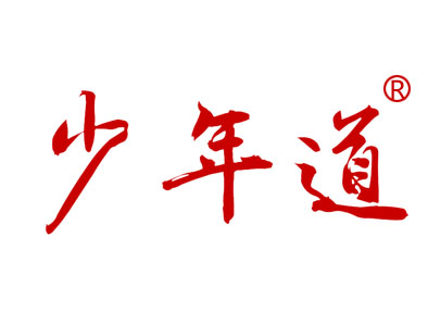 少年道