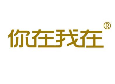 你在我在