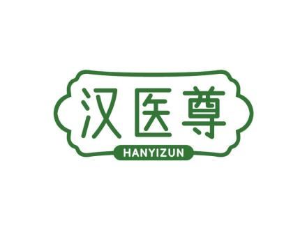 汉医尊