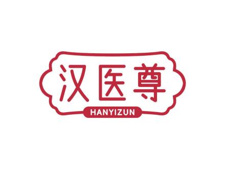 汉医尊