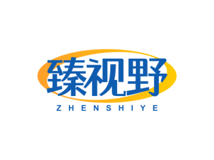 臻视野