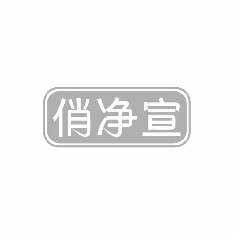 俏净宣