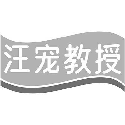汪宠教授