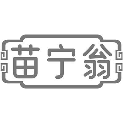 苗宁翁
