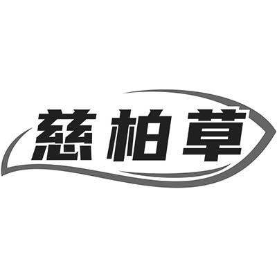 慈柏草