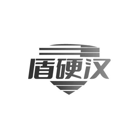 盾硬汉