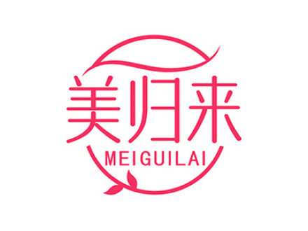 美归来